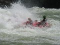 672 660 IMG_2784